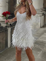 Valmira | Women’s Feather-Trim Shimmer Mini Dress