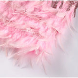 Matilda | Women’s Feather Mini Dress